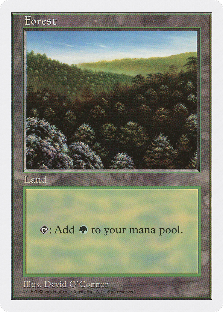 Forest (Daytime)