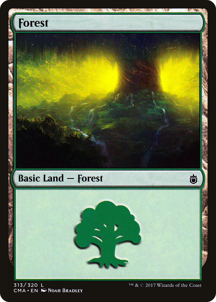 Forest (313)