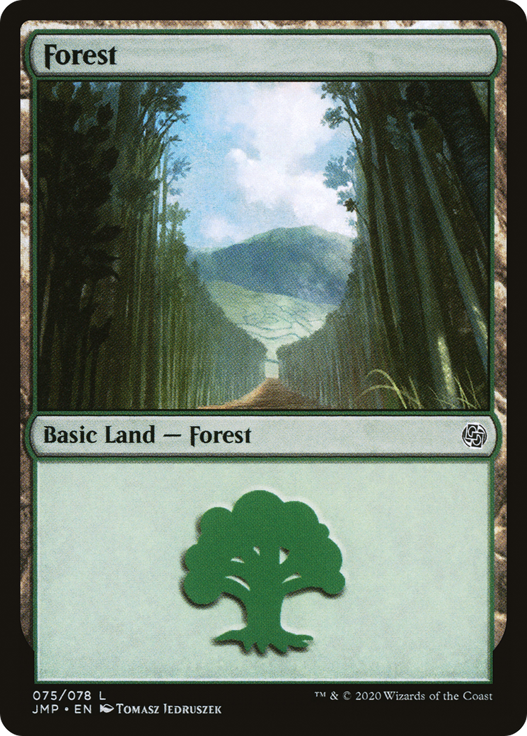 Forest (075)