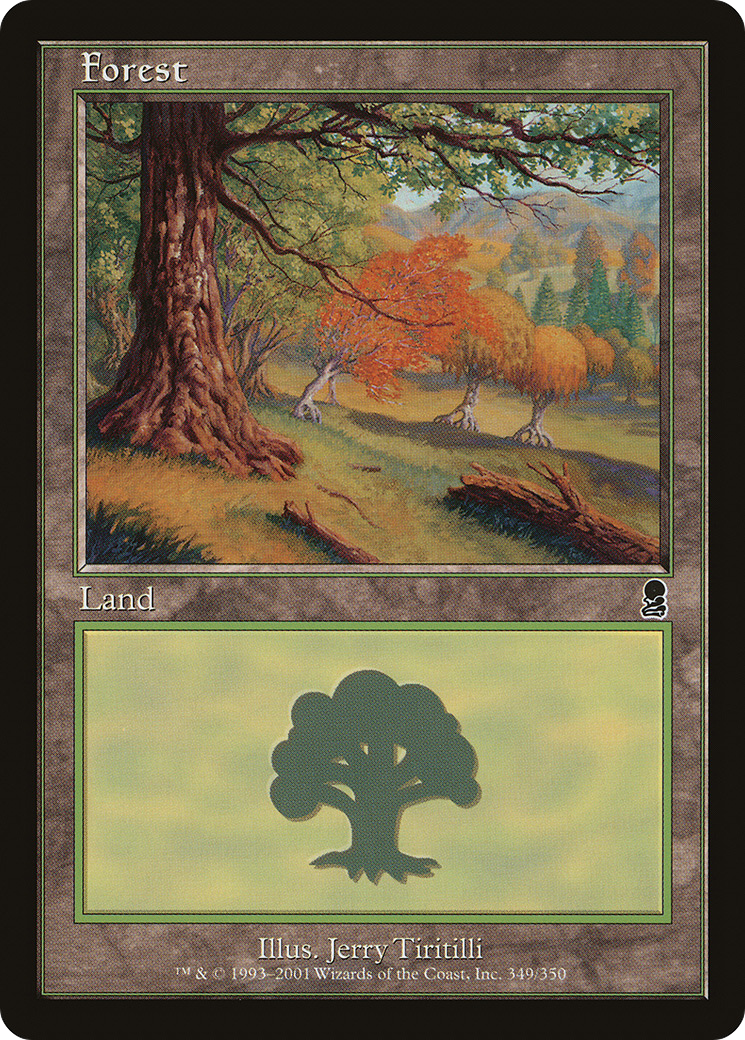 Forest (349)