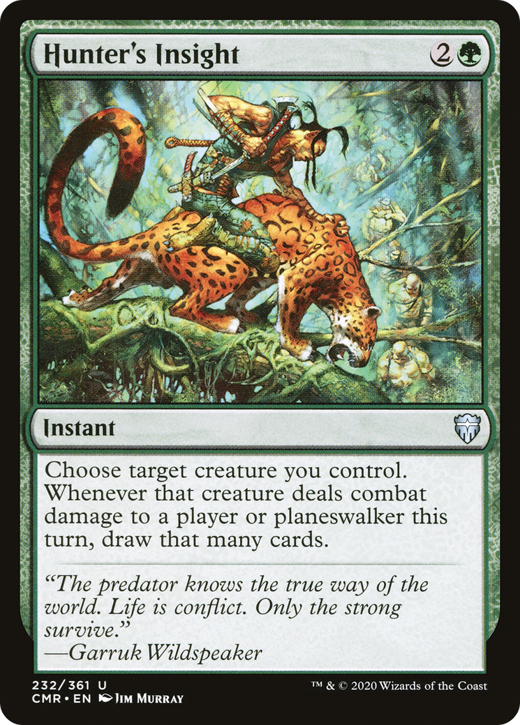 Hunter's Insight - Foil