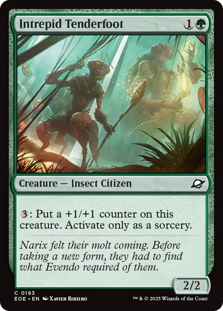 Intrepid Tenderfoot - Foil