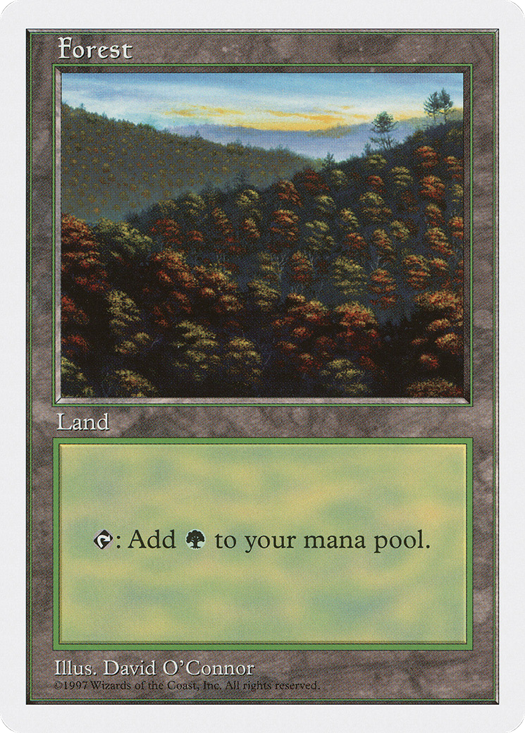 Forest (Orange Trees)