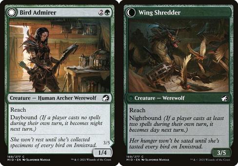 Bird Admirer // Wing Shredder - Foil