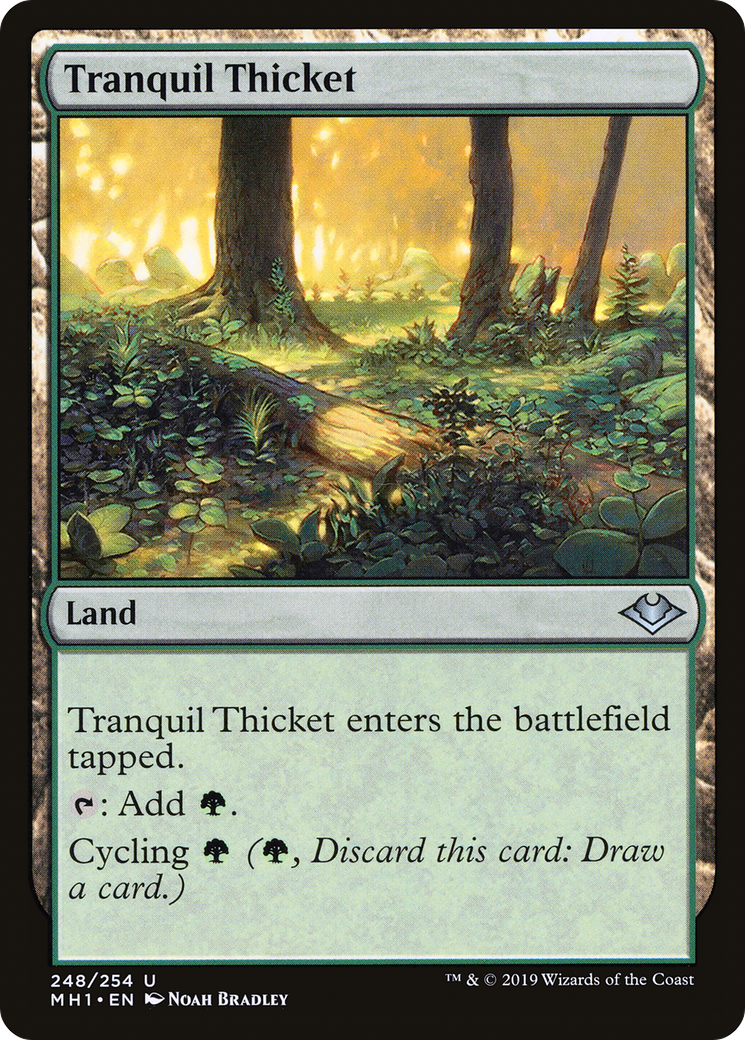 Tranquil Thicket - Foil