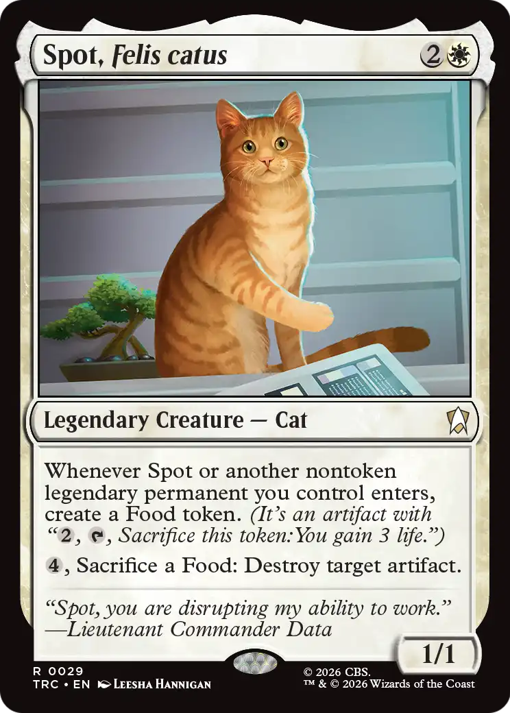 Spot, Felis catus (TRC)