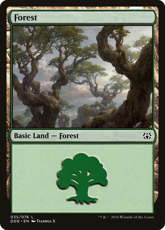Forest (035)