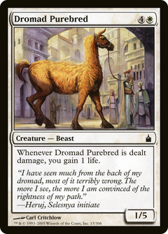 Dromad Purebred - Foil