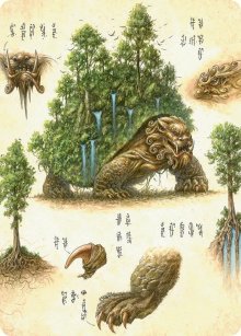 The Lion-Turtle (37/54) Art Card (TLA)