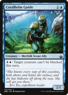 Coralhelm Guide - Foil