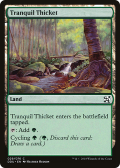 Tranquil Thicket