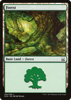 Forest (064)