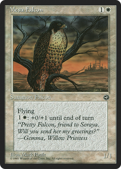 Mesa Falcon (On Tree)