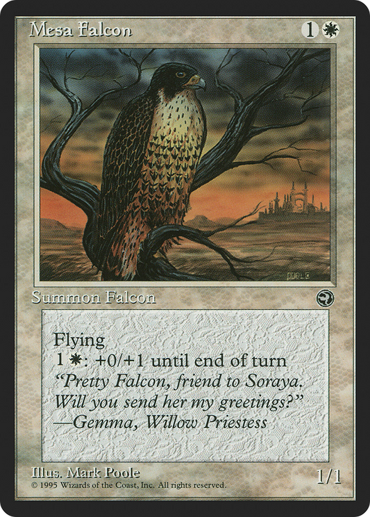 Mesa Falcon (On Tree)