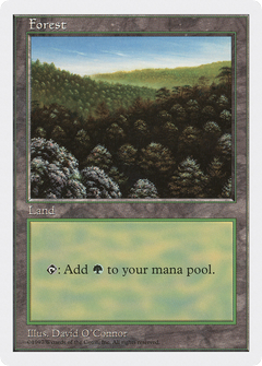 Forest (Daytime)