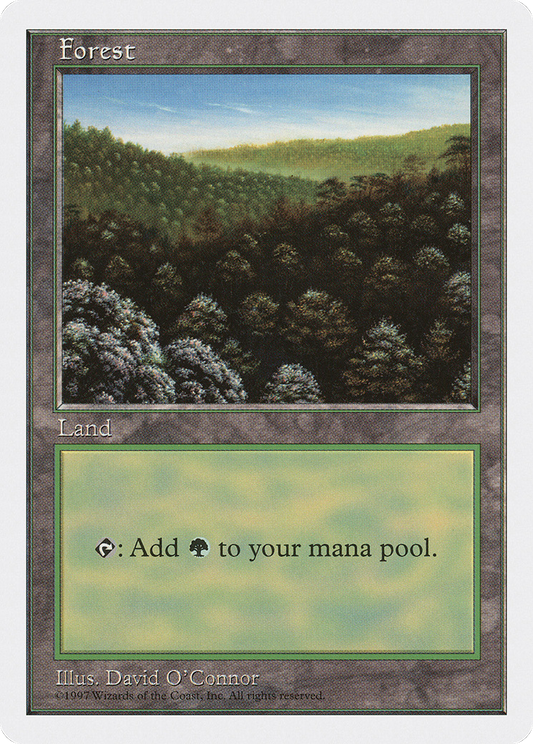Forest (Daytime)