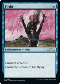 Flight (Modern Frame)
