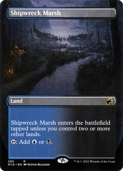 Shipwreck Marsh (285) (Borderless)