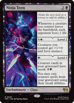 Ninja Teen (TMT) - Foil