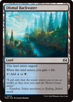 Dismal Backwater - Foil