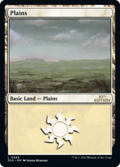 Plains (285) (Modern Frame)