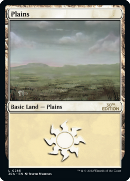 Plains (285) (Modern Frame)