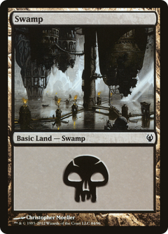 Swamp (84)