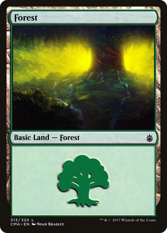 Forest (313)