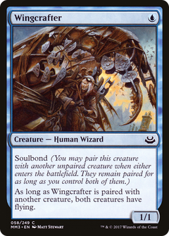 Wingcrafter - Foil