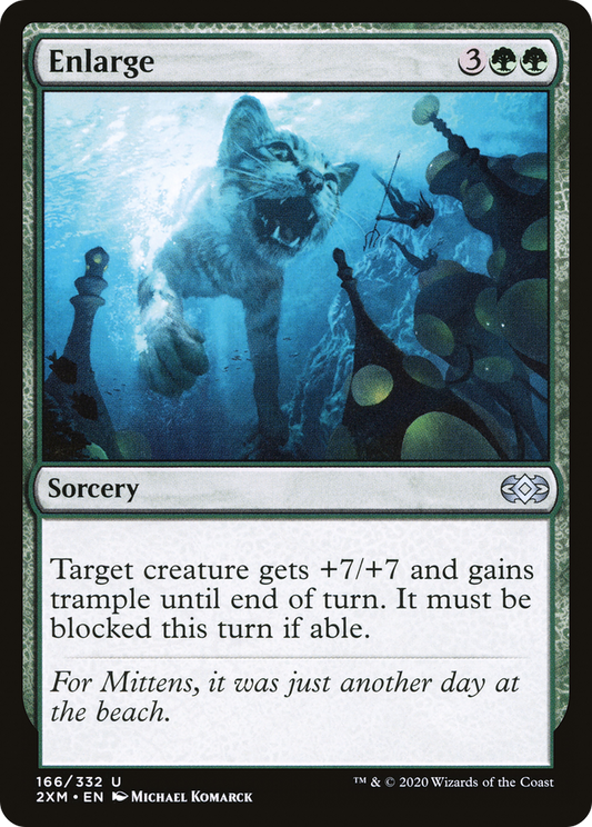 Enlarge - Foil