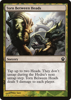 Torn Between Heads (TFTH)