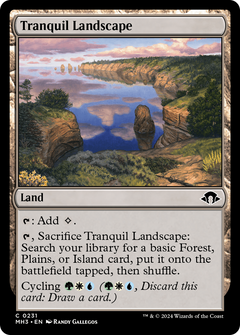 Tranquil Landscape (0231)