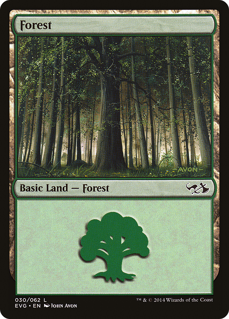 Forest (030) (EVG)