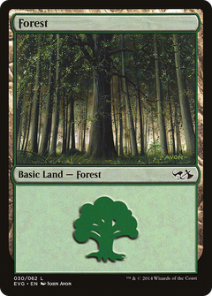 Forest (030) (EVG)