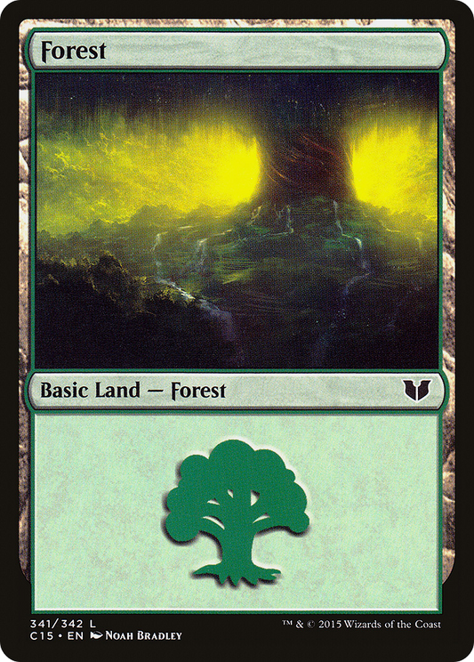 Forest (341)