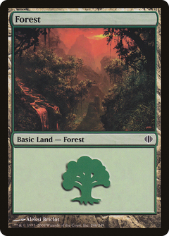 Forest (246)