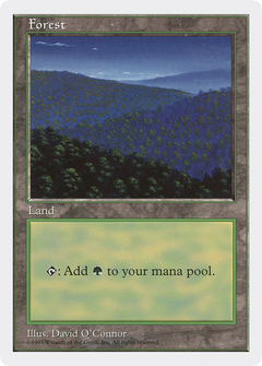 Forest (Nighttime)
