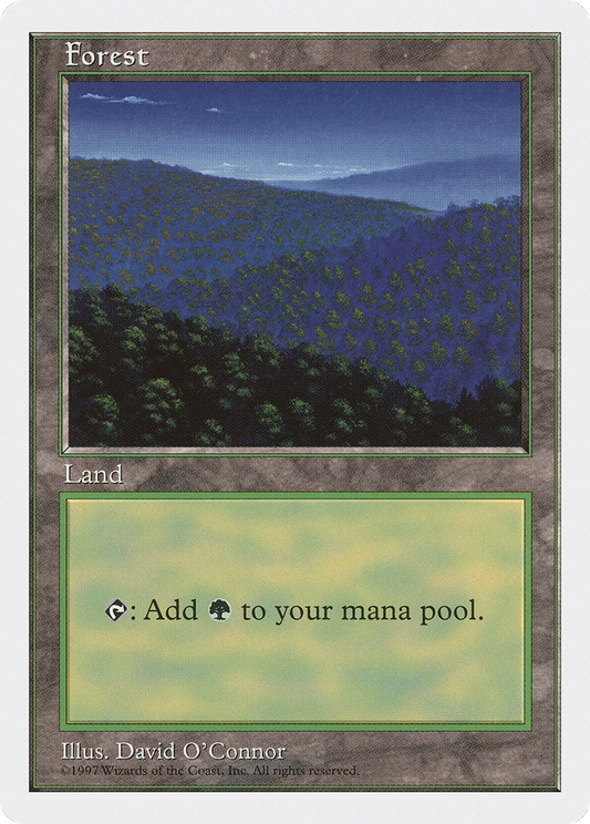 Forest (Nighttime)