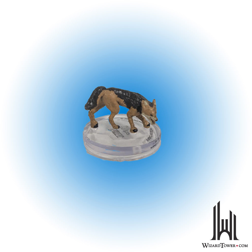Jackal #13