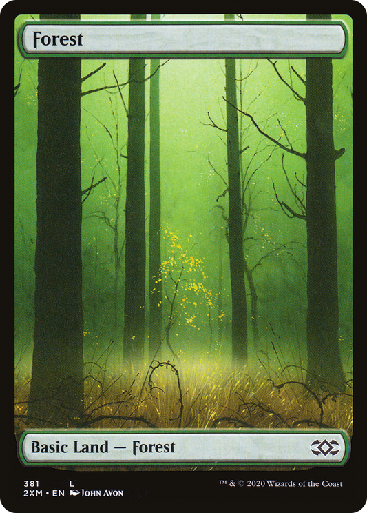 Forest (381)