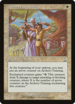 Archery Training - Foil