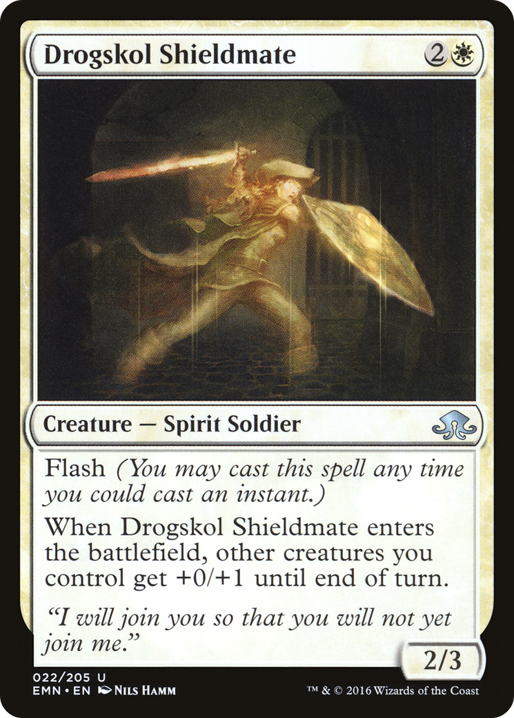 Drogskol Shieldmate - Foil