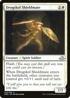 Drogskol Shieldmate - Foil