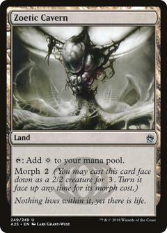 Zoetic Cavern - Foil