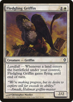 Fledgling Griffin - Foil
