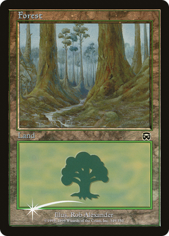 Forest - Arena 2000