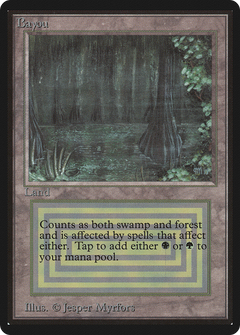 Bayou