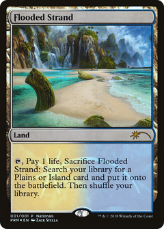 Flooded Strand (001) (Nationals) - Foil
