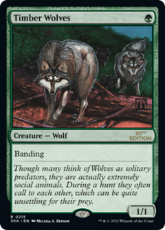 Timber Wolves (Modern Frame)