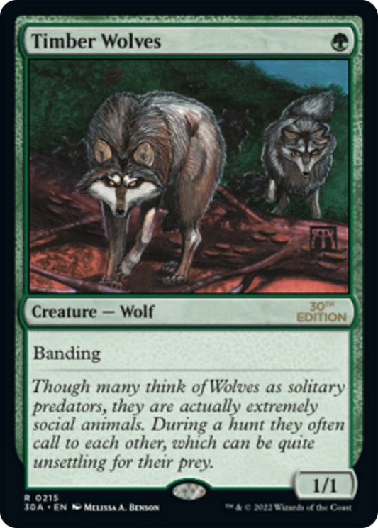 Timber Wolves (Modern Frame)